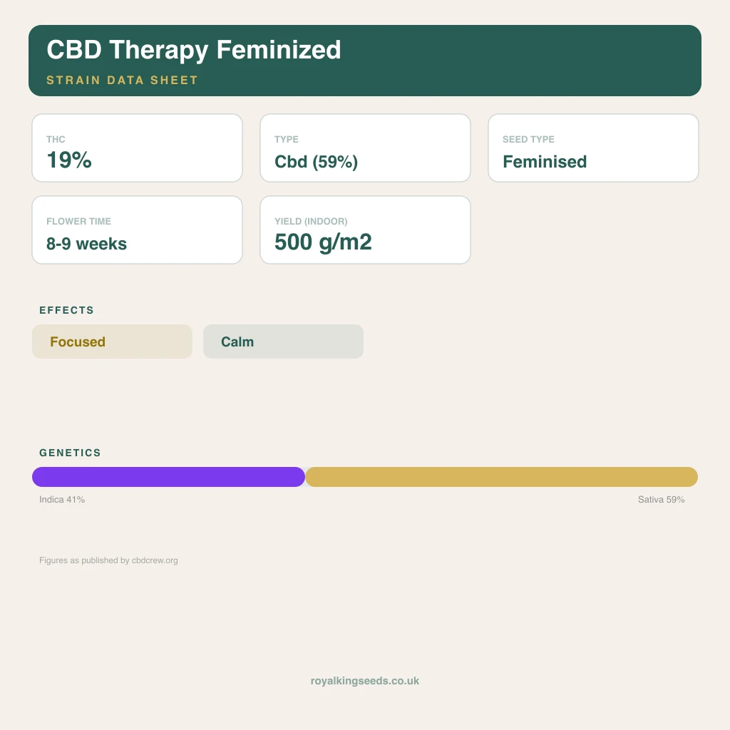 CBD Therapy 41% indica / 59% sativa flower with visible trichomes