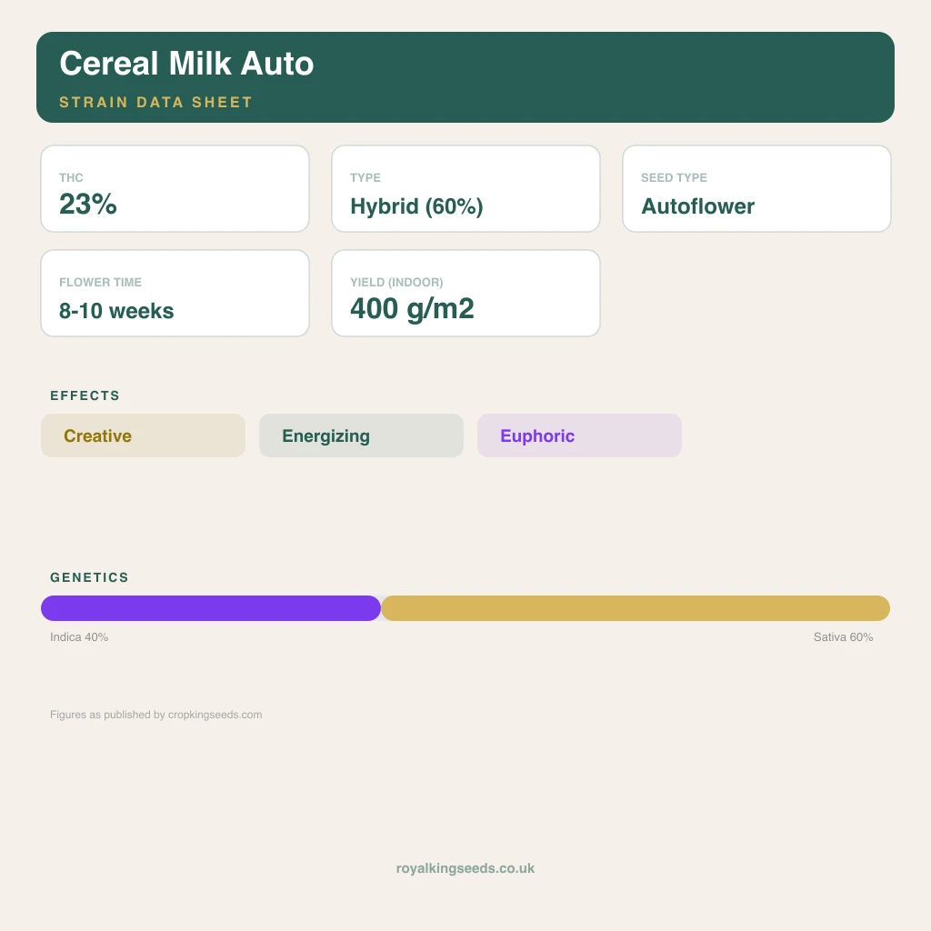 Cereal Milk 40% indica / 60% sativa flower with visible trichomes