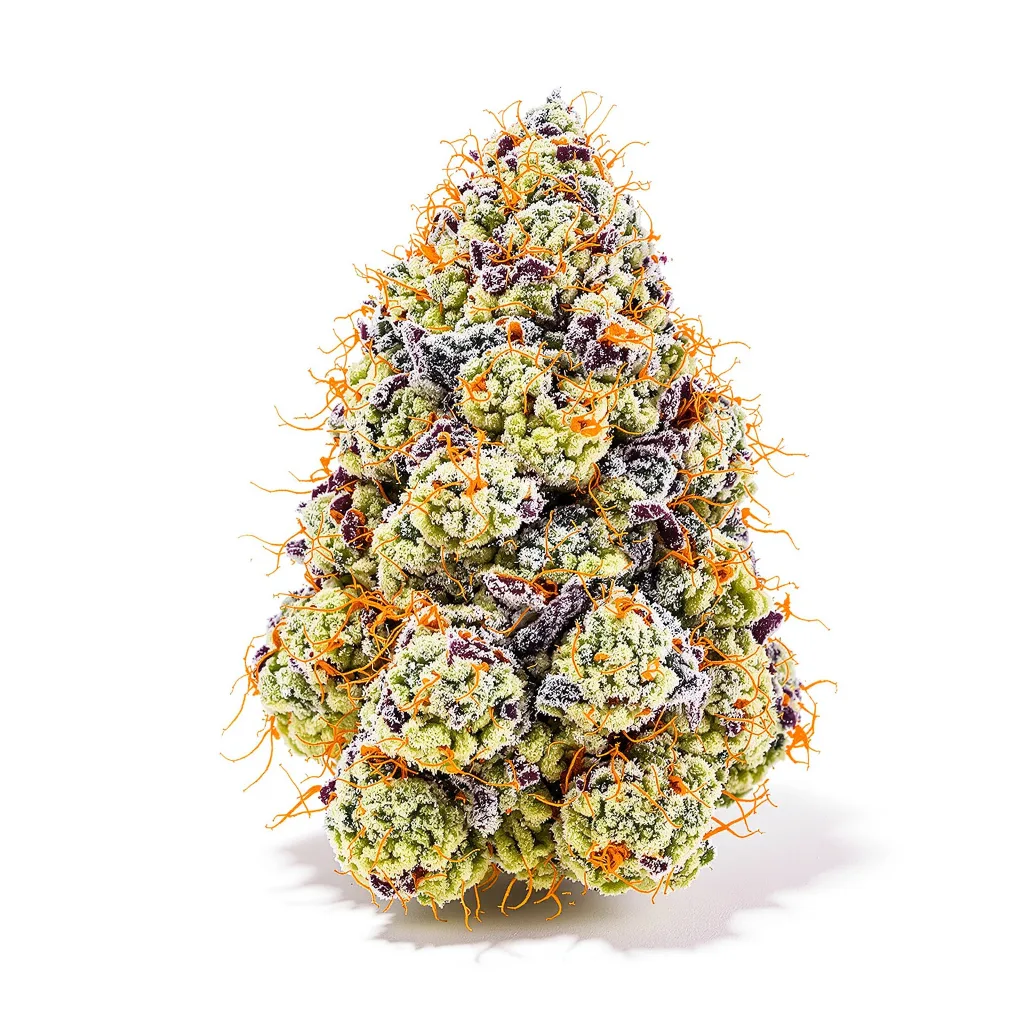 Cherry Chem cannabis plant in flowering stage — 120-180 cm feminised