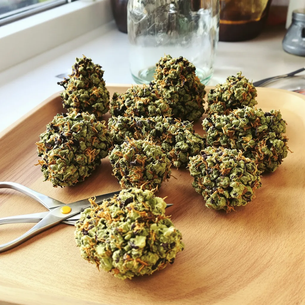 Cherry Kush 75% indica / 25% sativa flower with visible trichomes