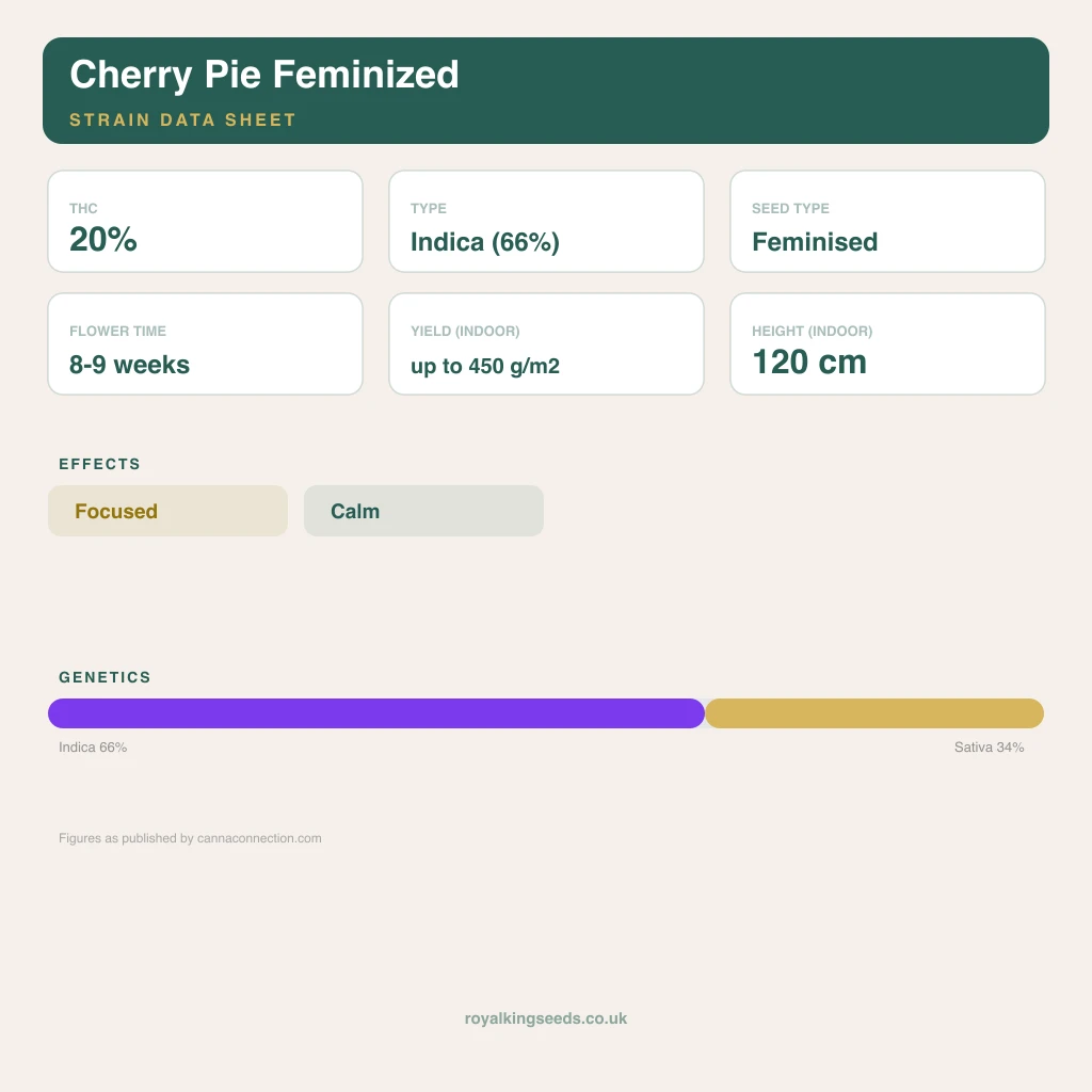Cherry Pie 66% indica / 34% sativa flower with visible trichomes