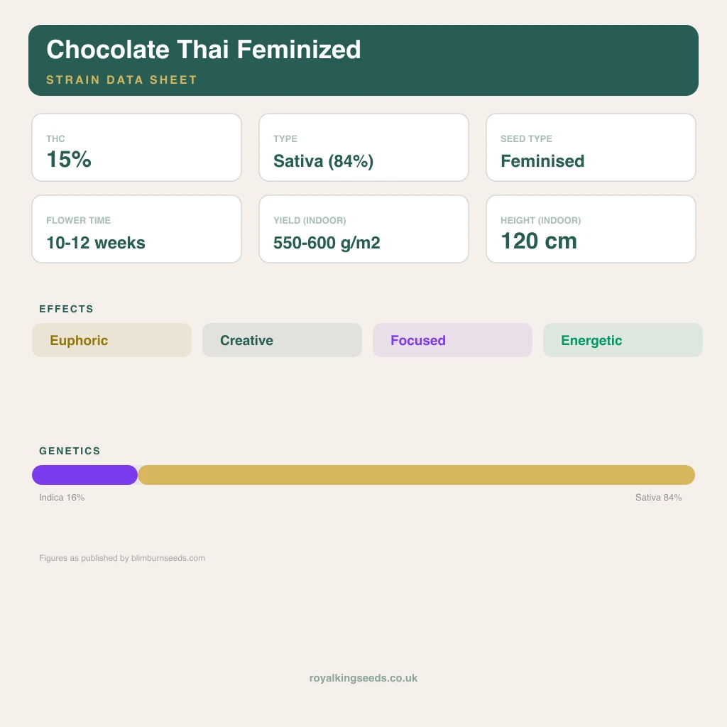 Chocolate Thai 16% indica / 84% sativa flower with visible trichomes