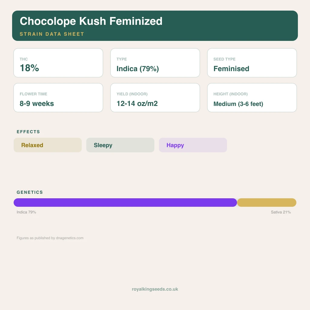 Chocolope Kush 79% indica / 21% sativa flower with visible trichomes