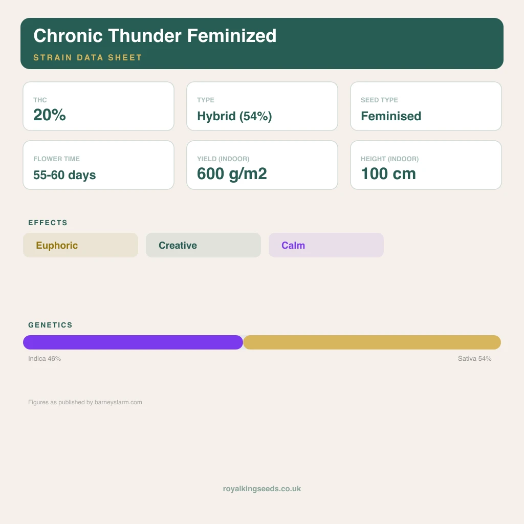 Chronic Thunder 46% indica / 54% sativa flower with visible trichomes