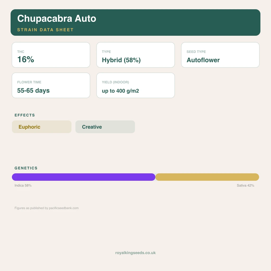 Chupacabra 58% indica / 42% sativa flower with visible trichomes