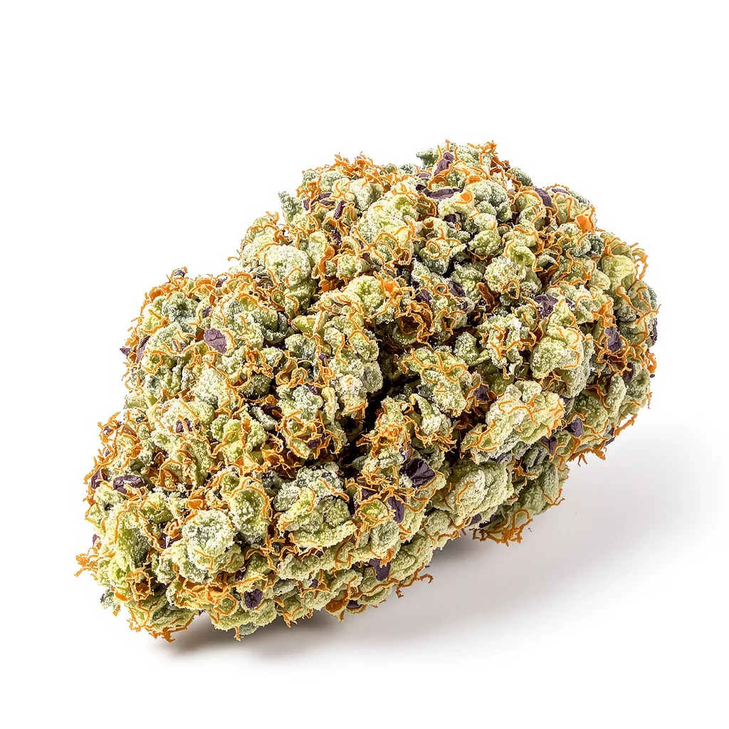 Cinex cannabis plant in flowering stage — 60-100 cm autoflower