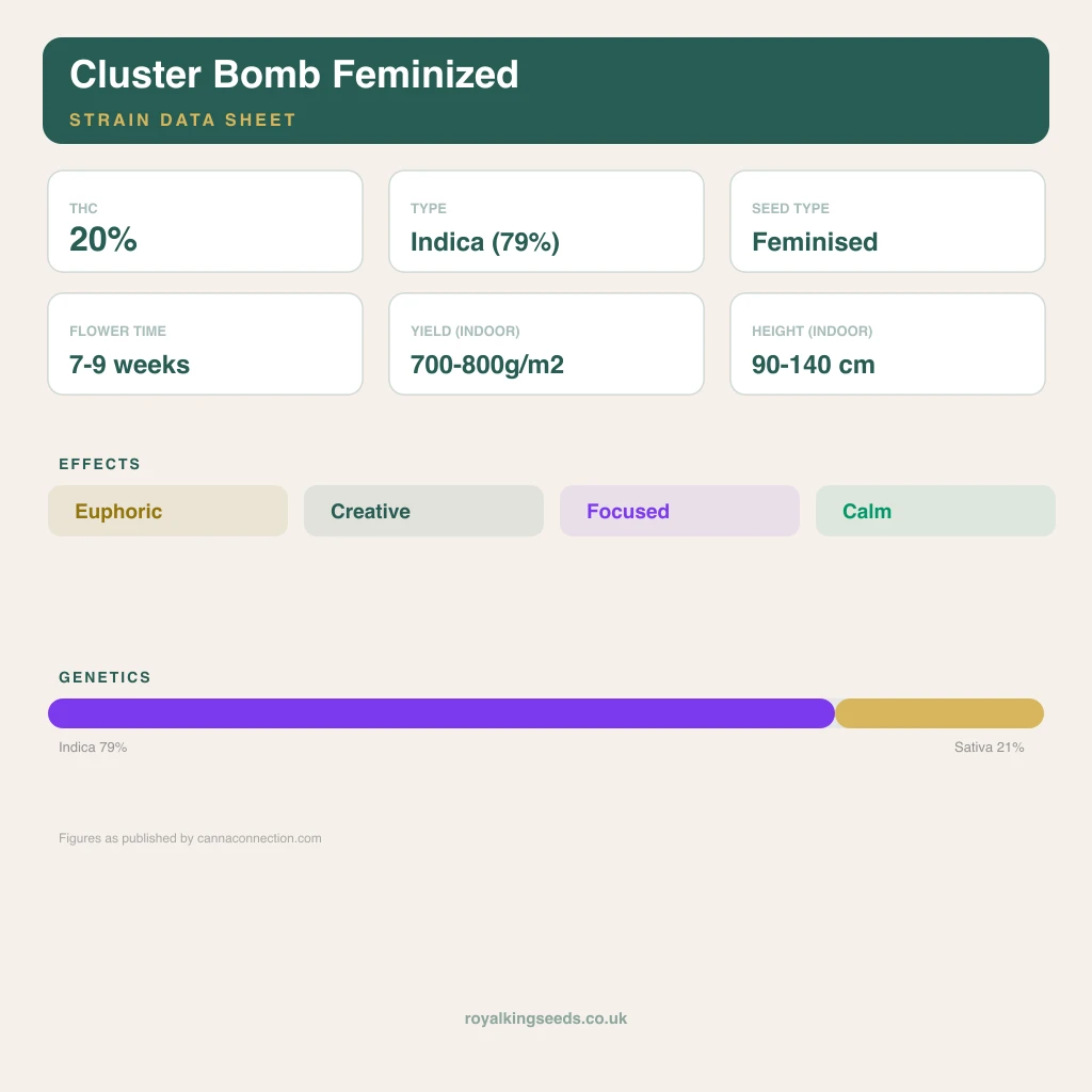 Cluster Bomb 79% indica / 21% sativa flower with visible trichomes