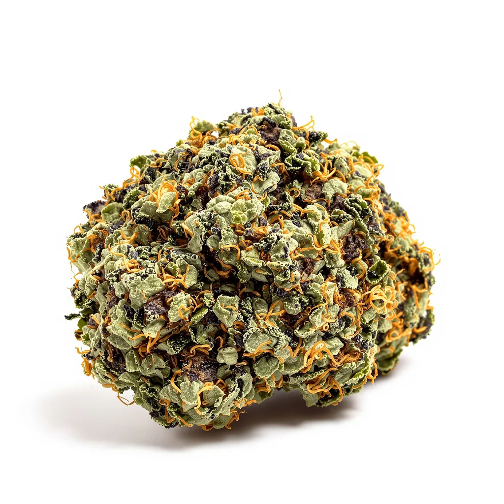 Cluster Bomb cannabis plant in flowering stage — 90-130 cm feminised
