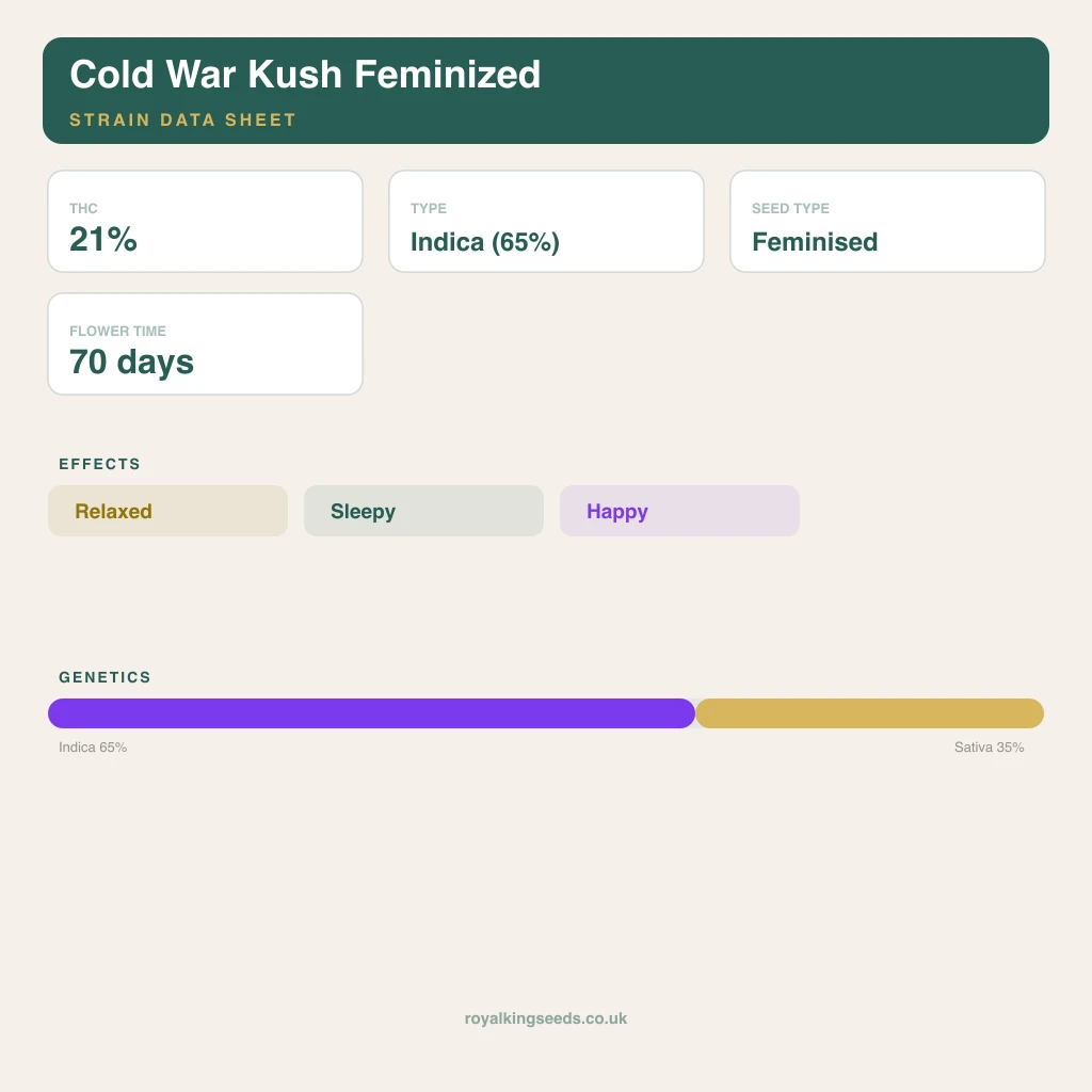 Cold War Kush 65% indica / 35% sativa flower with visible trichomes