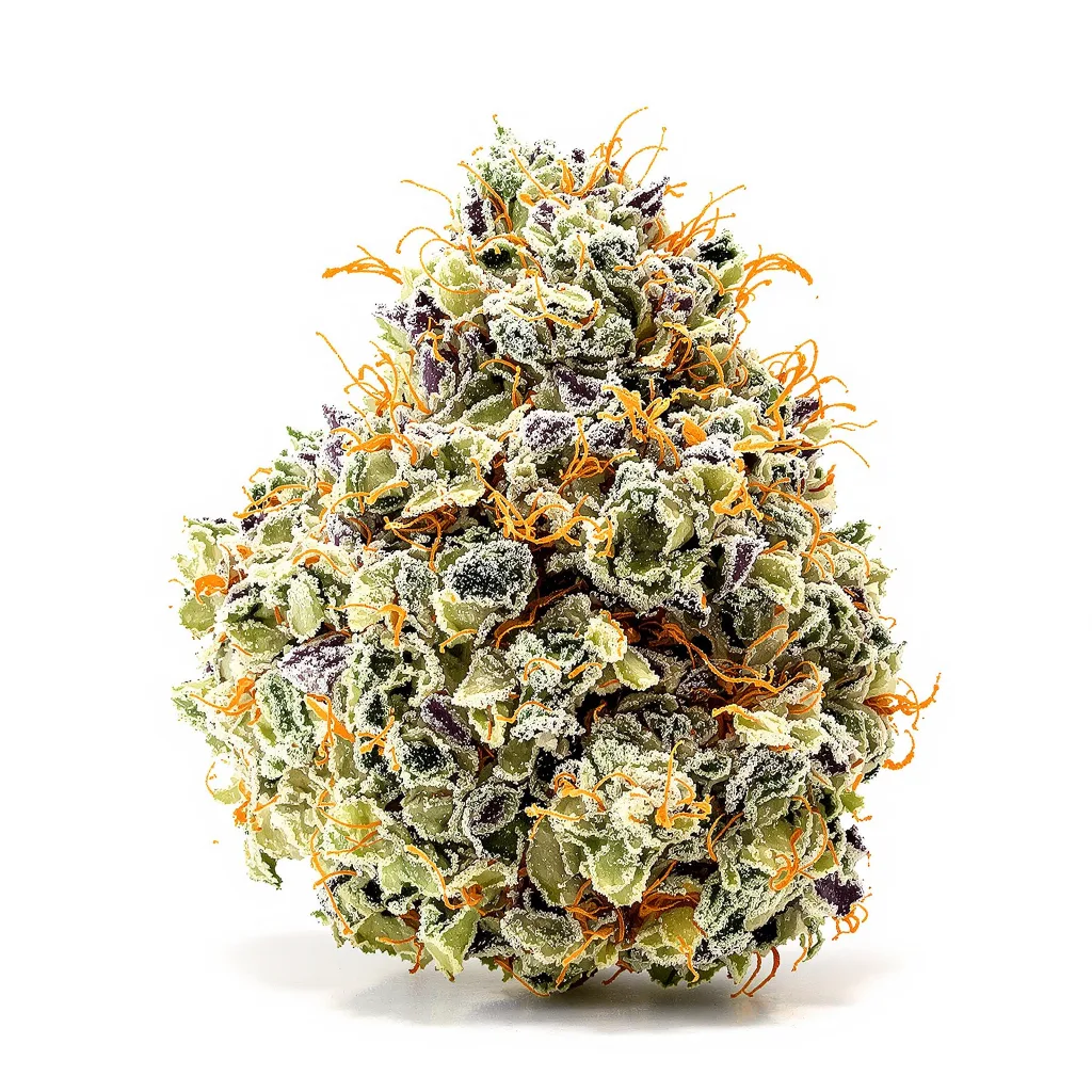 Cookie Wreck cannabis plant in flowering stage — 120-180 cm feminised