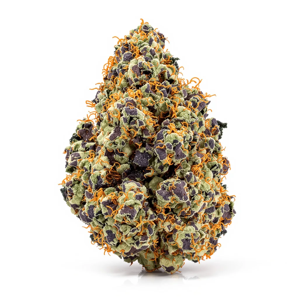 Cookies Kush cannabis plant in flowering stage — 90-110 cm feminised