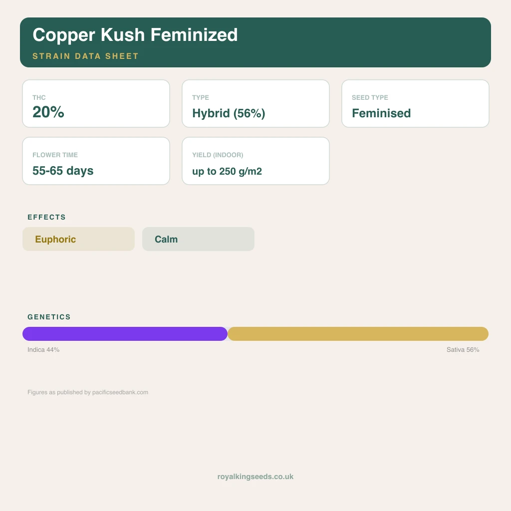 Copper Kush 44% indica / 56% sativa flower with visible trichomes