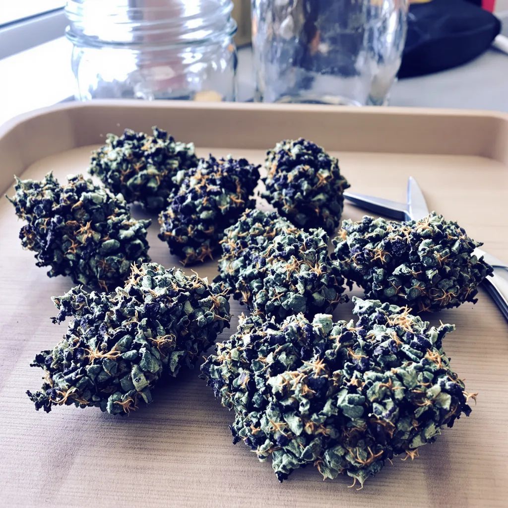 Cornbread 88% indica / 12% sativa flower with visible trichomes