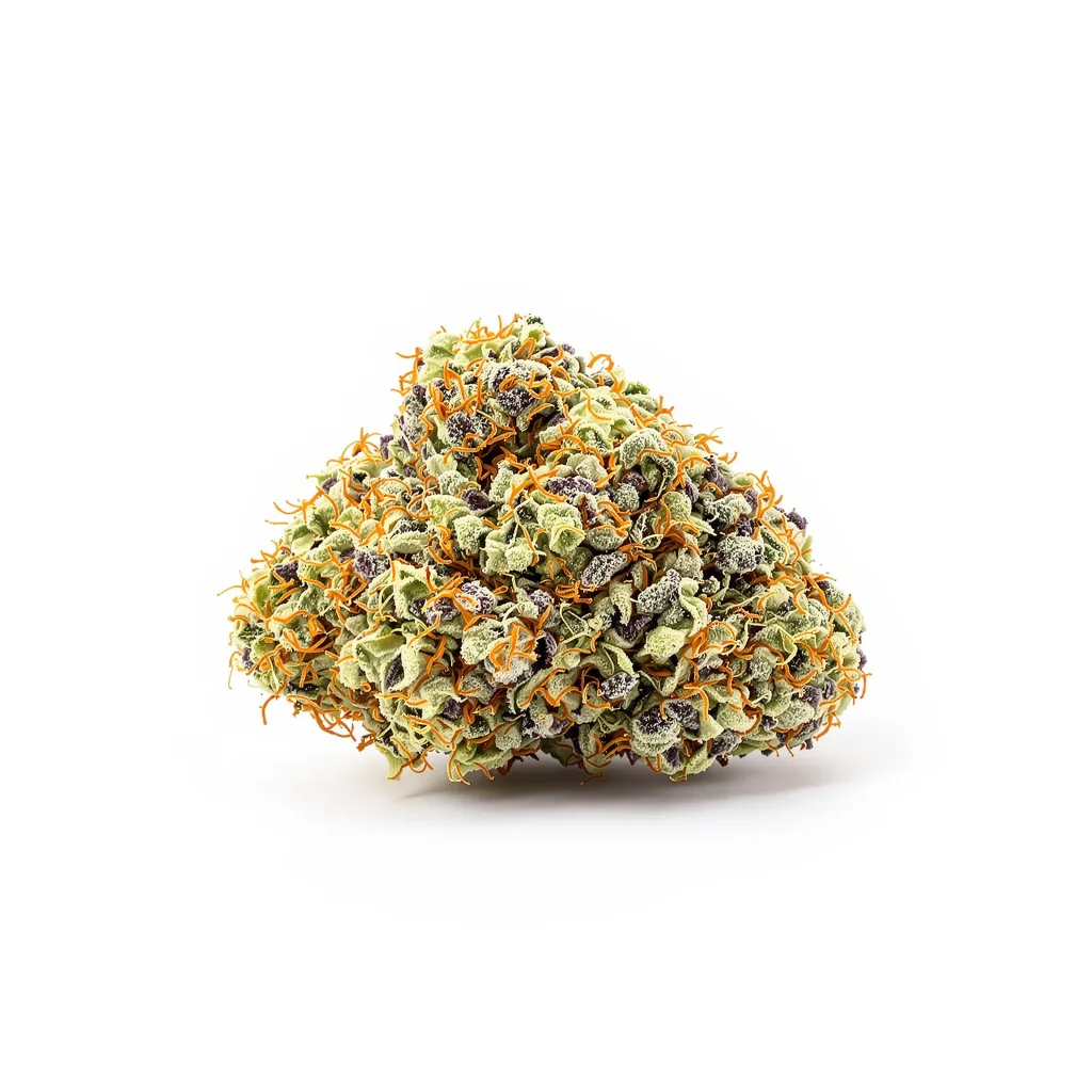 Cotton Candy Kush cannabis plant in flowering stage — 60-100 cm autoflower
