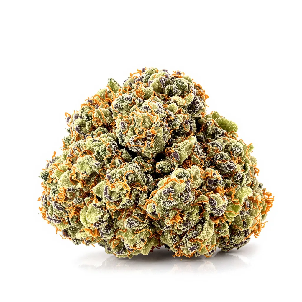 Cotton Candy Kush cannabis plant in flowering stage — 120-180 cm feminised