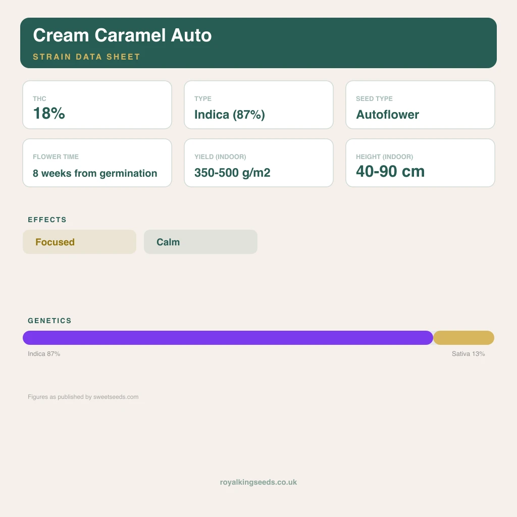 Cream Caramel 87% indica / 13% sativa flower with visible trichomes