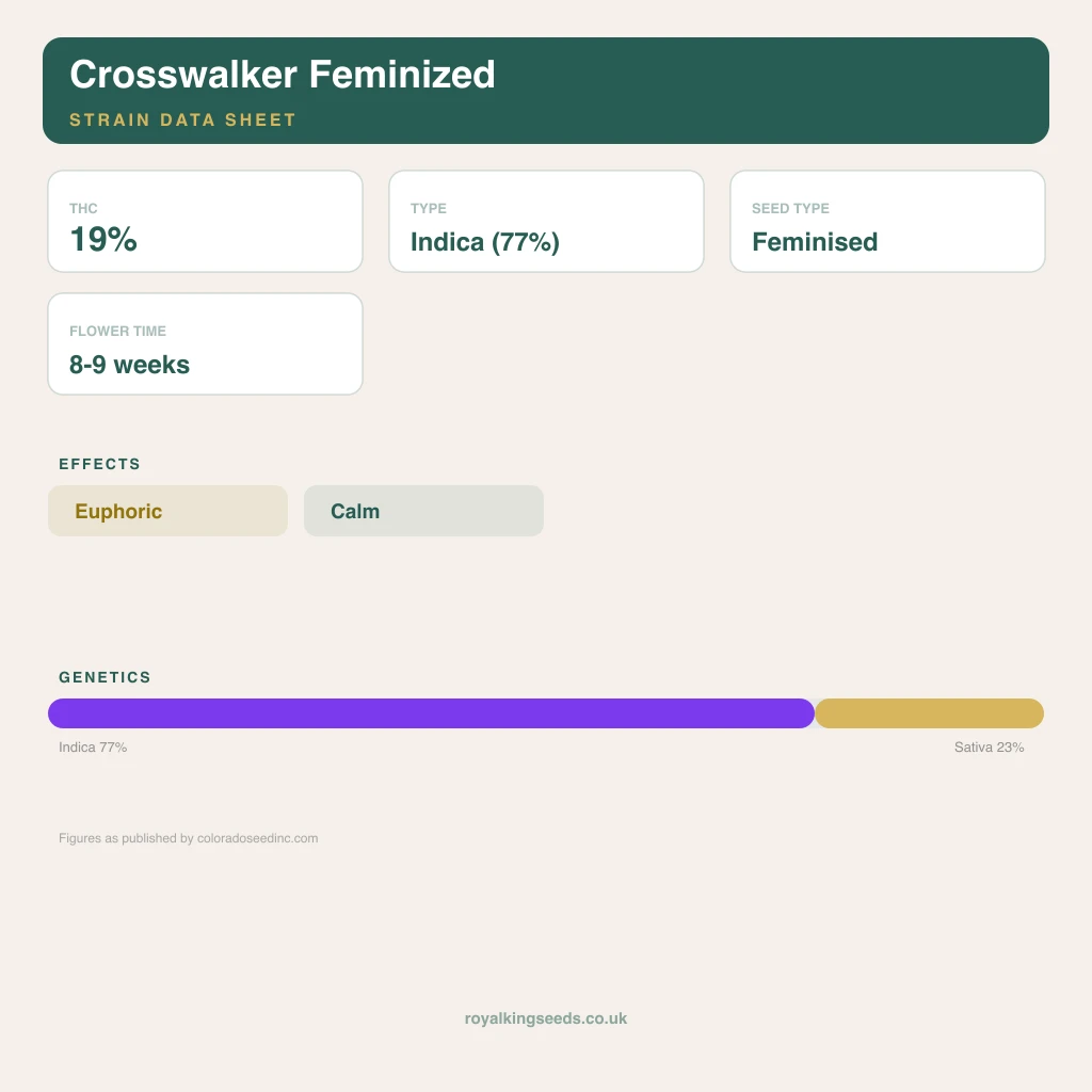 Crosswalker 77% indica / 23% sativa flower with visible trichomes
