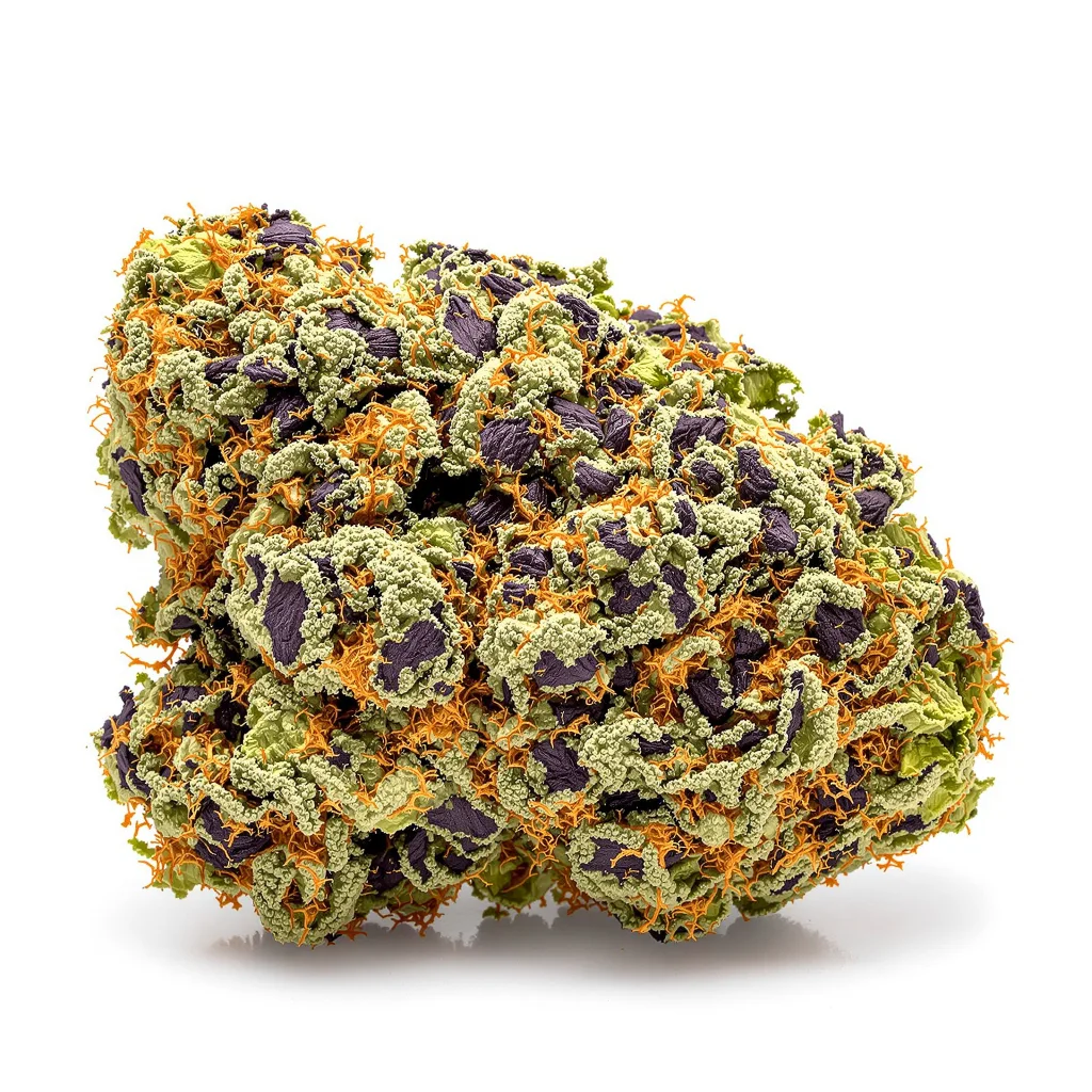 Crown Royale cannabis plant in flowering stage — 60-100 cm autoflower