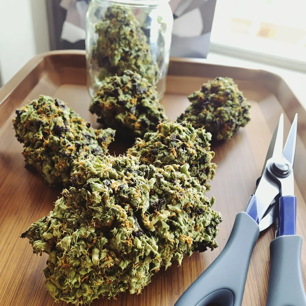 Crown Royale 83% indica / 17% sativa flower with visible trichomes