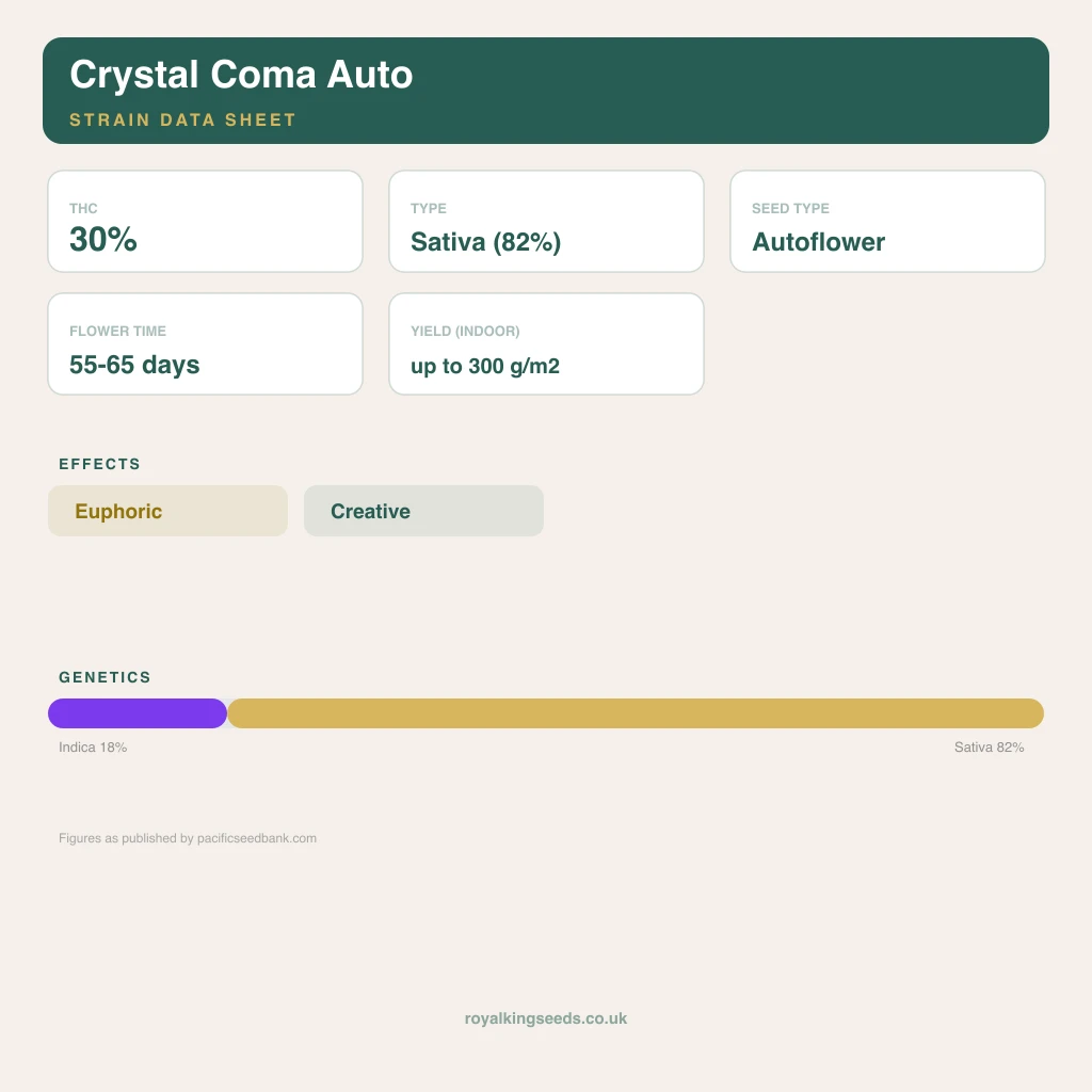 Crystal Coma 18% indica / 82% sativa flower with visible trichomes