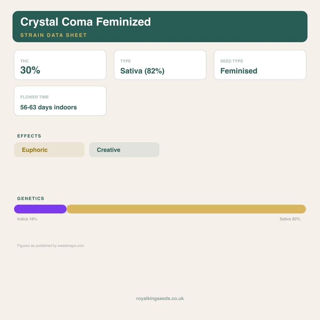 Crystal Coma 18% indica / 82% sativa flower with visible trichomes