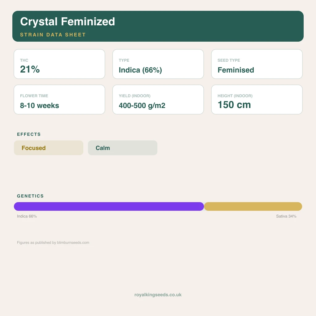 Crystal 66% indica / 34% sativa flower with visible trichomes