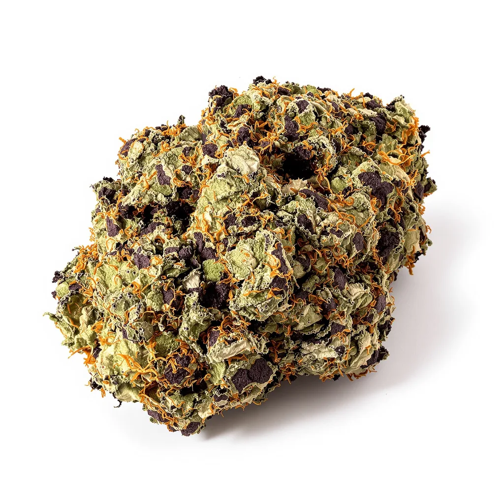 Crystal cannabis plant in flowering stage — 90-130 cm feminised