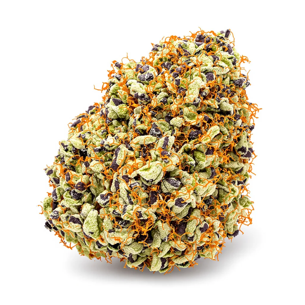 Dairy Queen cannabis plant in flowering stage — 60-100 cm autoflower
