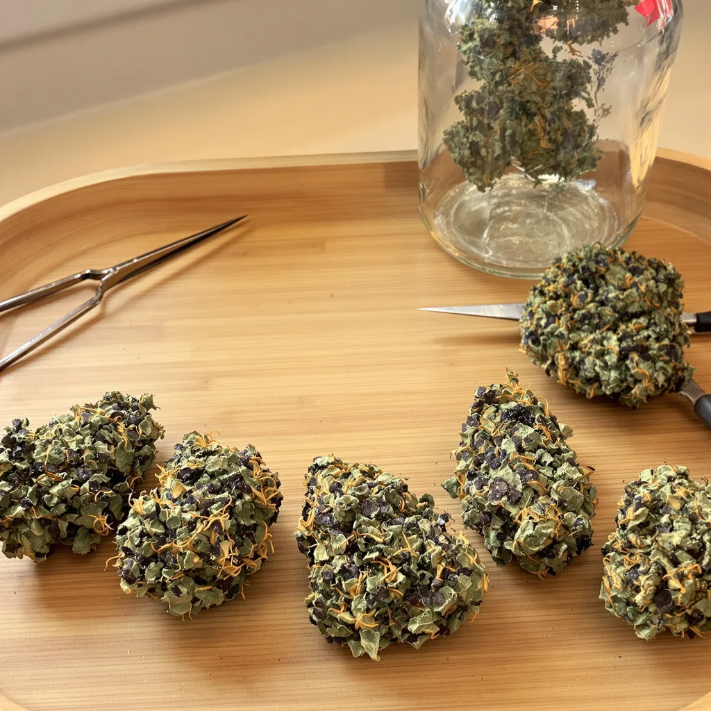 Dairy Queen 82% indica / 18% sativa flower with visible trichomes