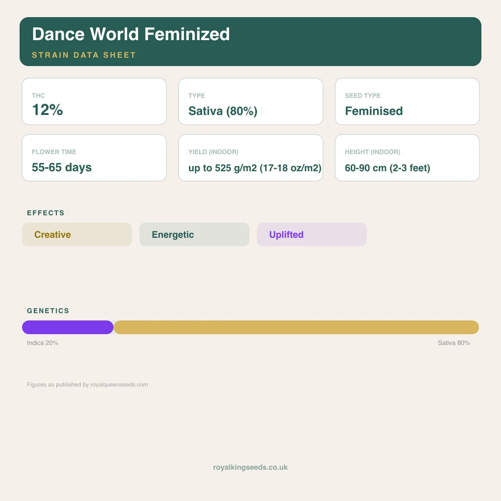 Dance World 20% indica / 80% sativa flower with visible trichomes