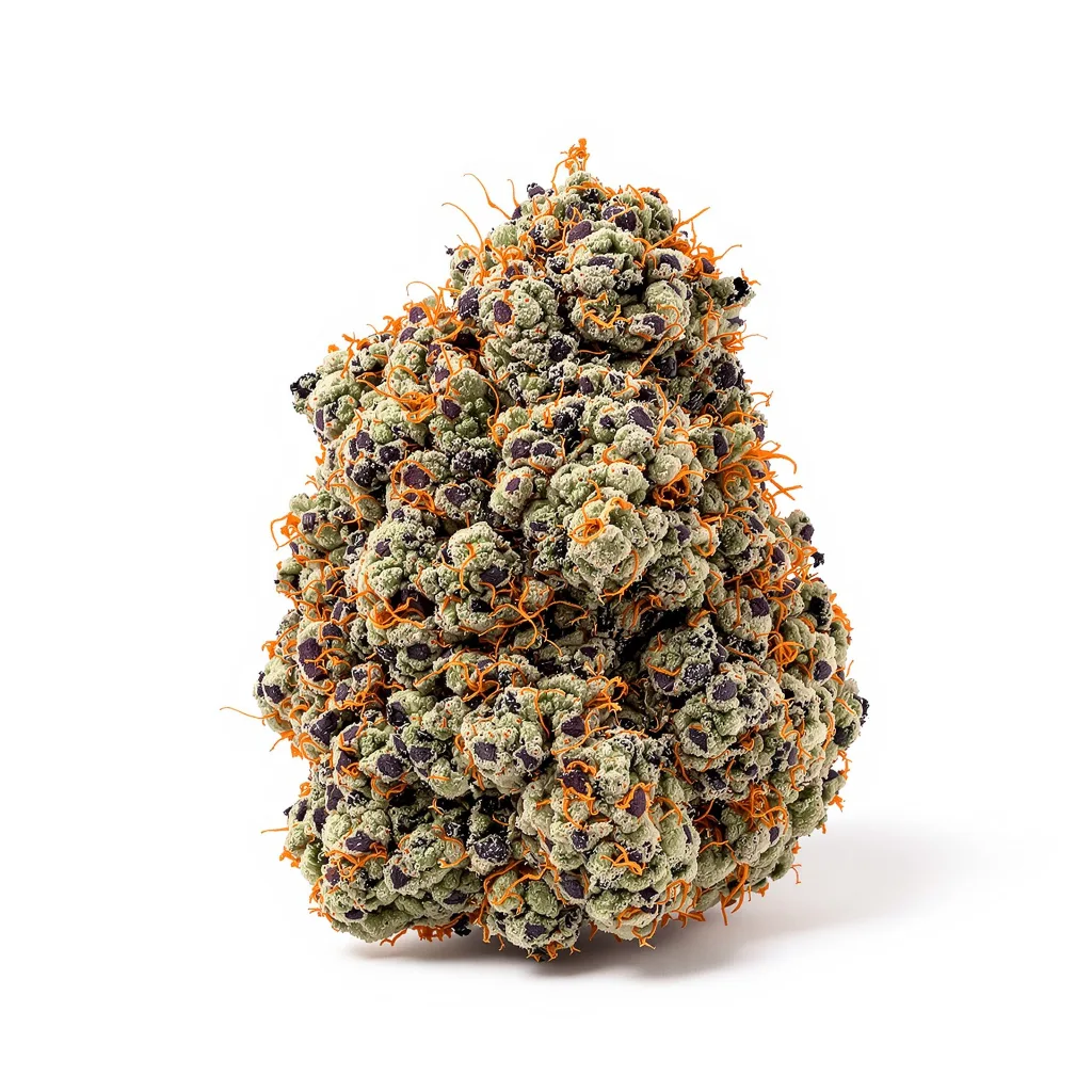 Dank Schrader cannabis plant in flowering stage — 90-130 cm feminised