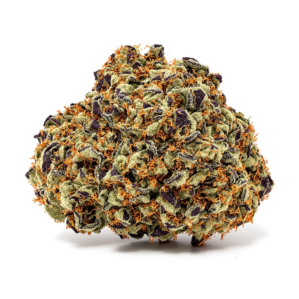 Dark Side of the Moon cannabis plant in flowering stage — 90-130 cm feminised