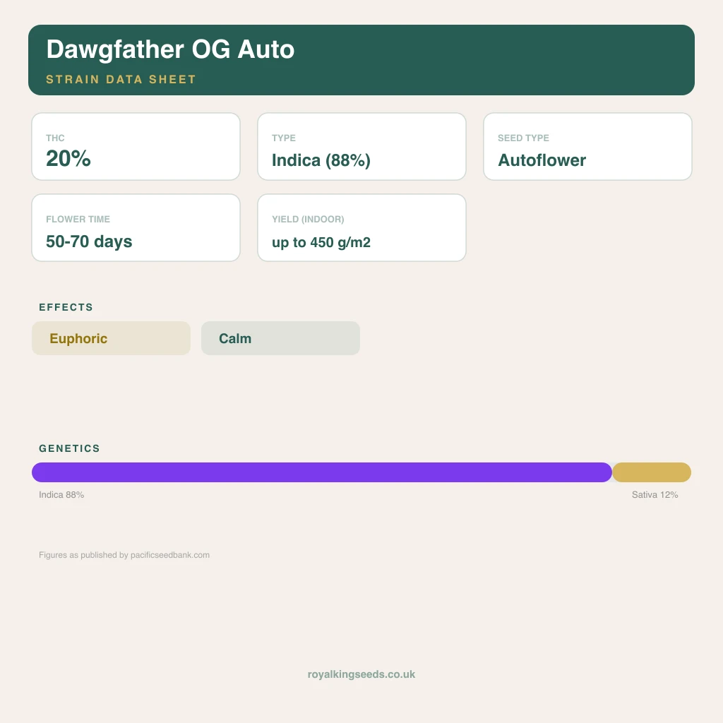 Dawgfather OG 88% indica / 12% sativa flower with visible trichomes
