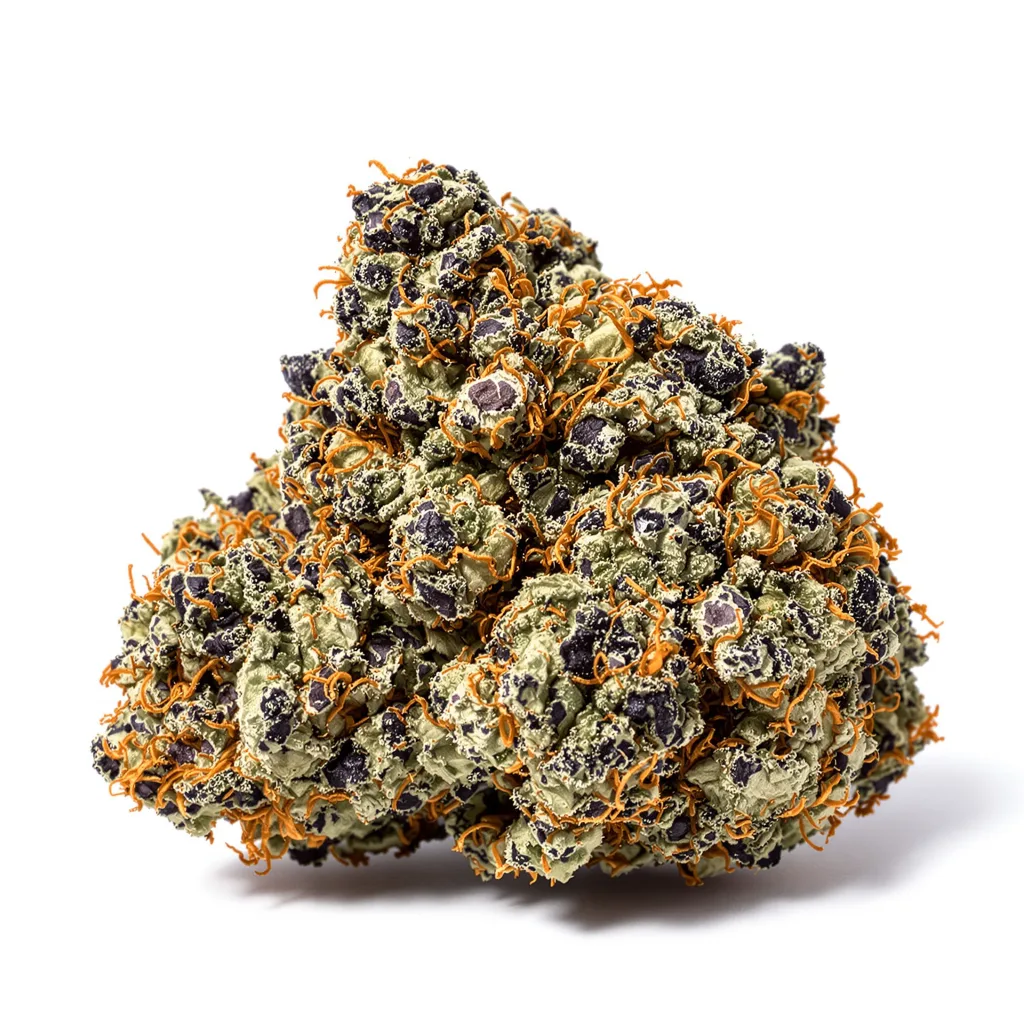 Dawgfather OG cannabis plant in flowering stage — 60-100 cm autoflower