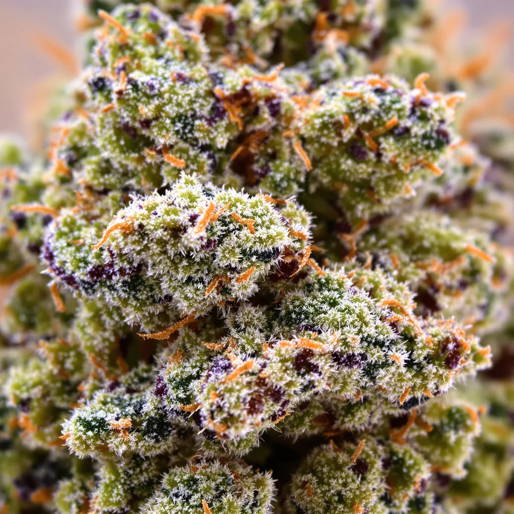 Deadhead OG cannabis bud close-up showing open-bud structure with orange pistils