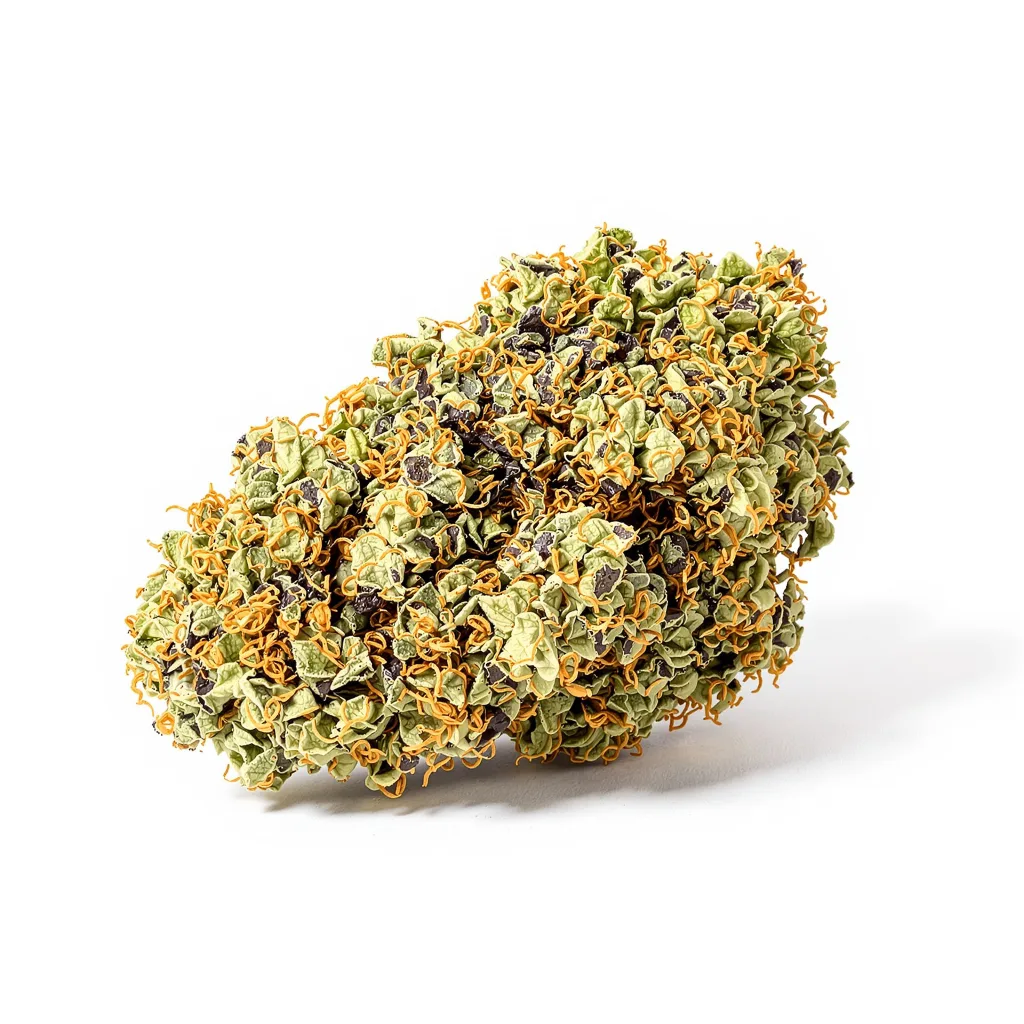 Death Star cannabis plant in flowering stage — 60-100 cm autoflower
