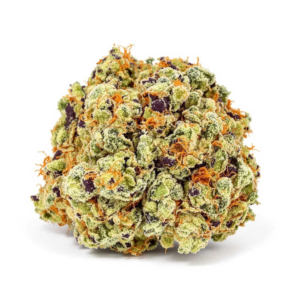 Diablo cannabis plant in flowering stage — 60-100 cm autoflower