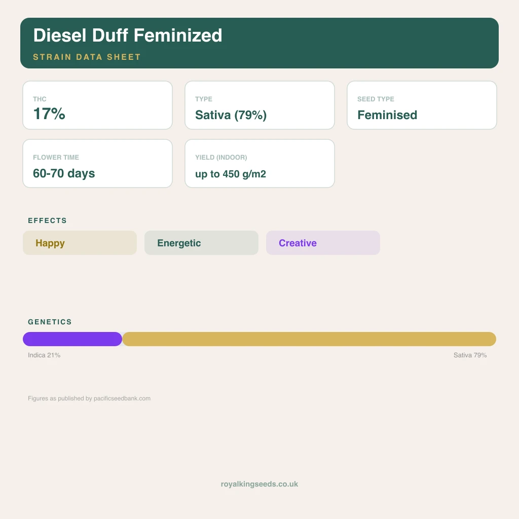 Diesel Duff 21% indica / 79% sativa flower with visible trichomes