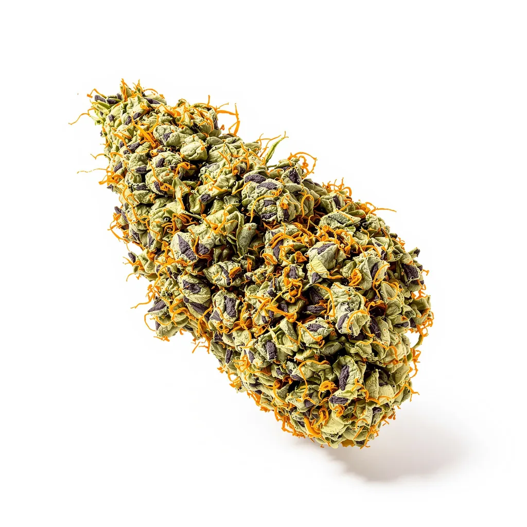 Disney Blue cannabis plant in flowering stage — 90-130 cm feminised