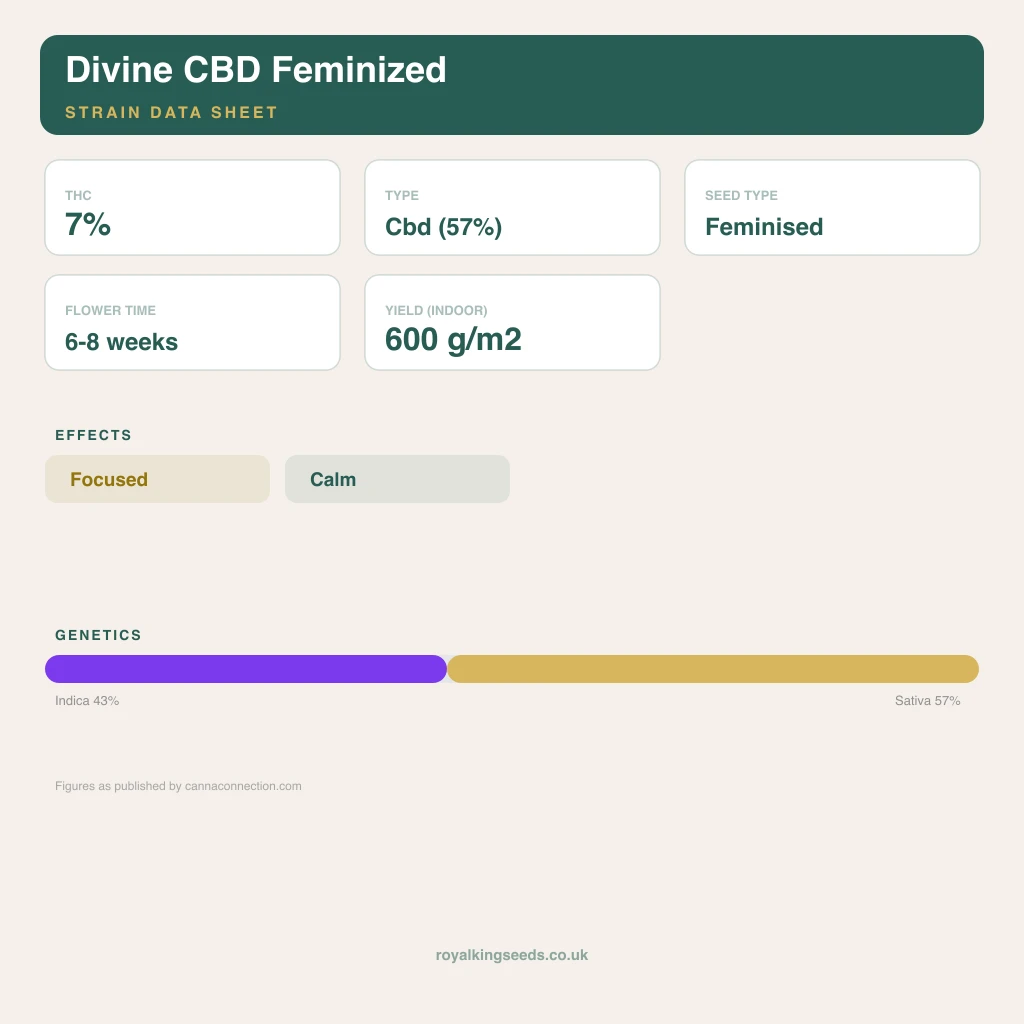 Divine CBD 43% indica / 57% sativa flower with visible trichomes