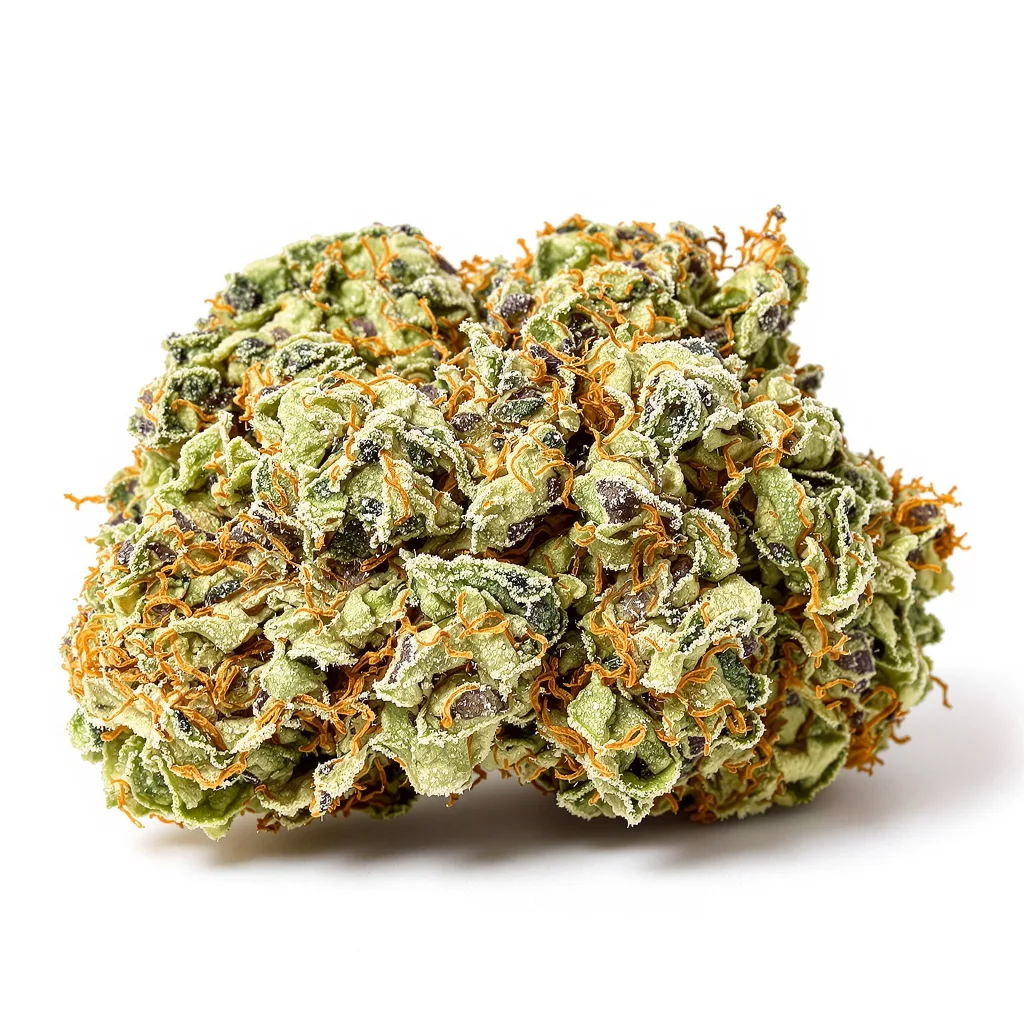 Do-Si-Dos cannabis plant in flowering stage — 60-100 cm autoflower