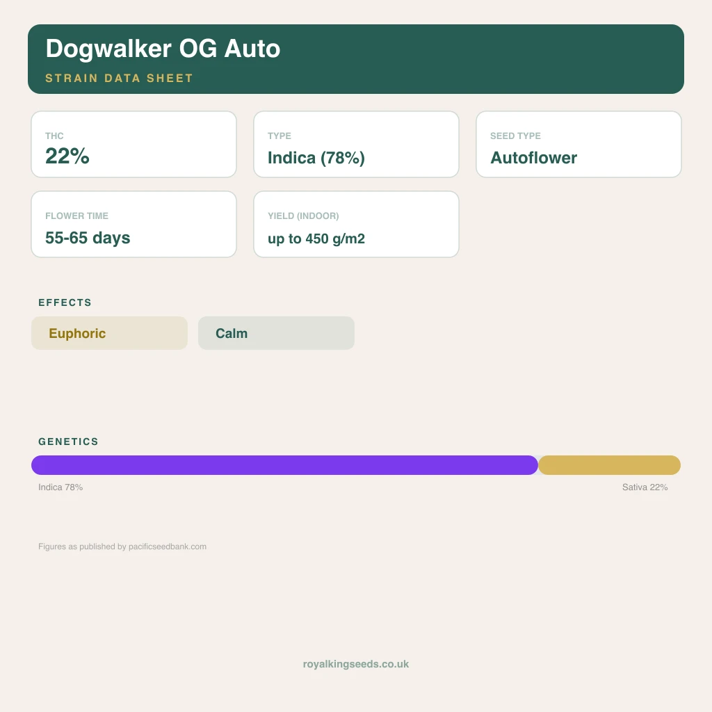 Dogwalker OG 78% indica / 22% sativa flower with visible trichomes