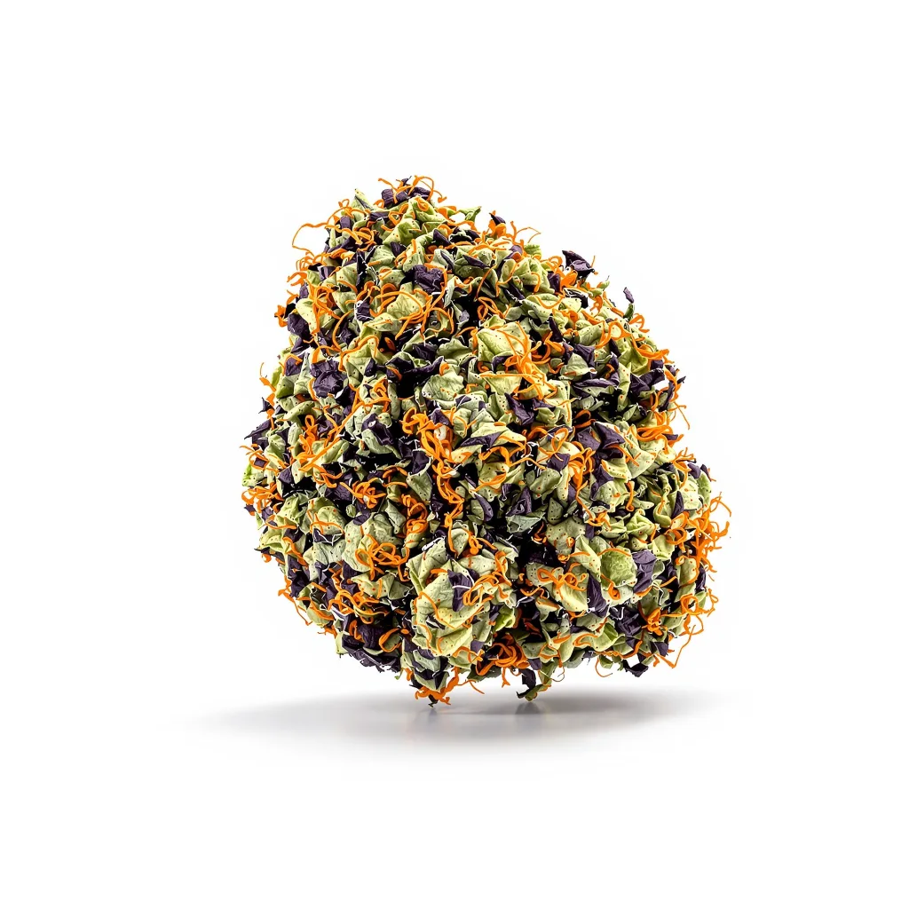 Dogwalker OG cannabis plant in flowering stage — 90-130 cm feminised