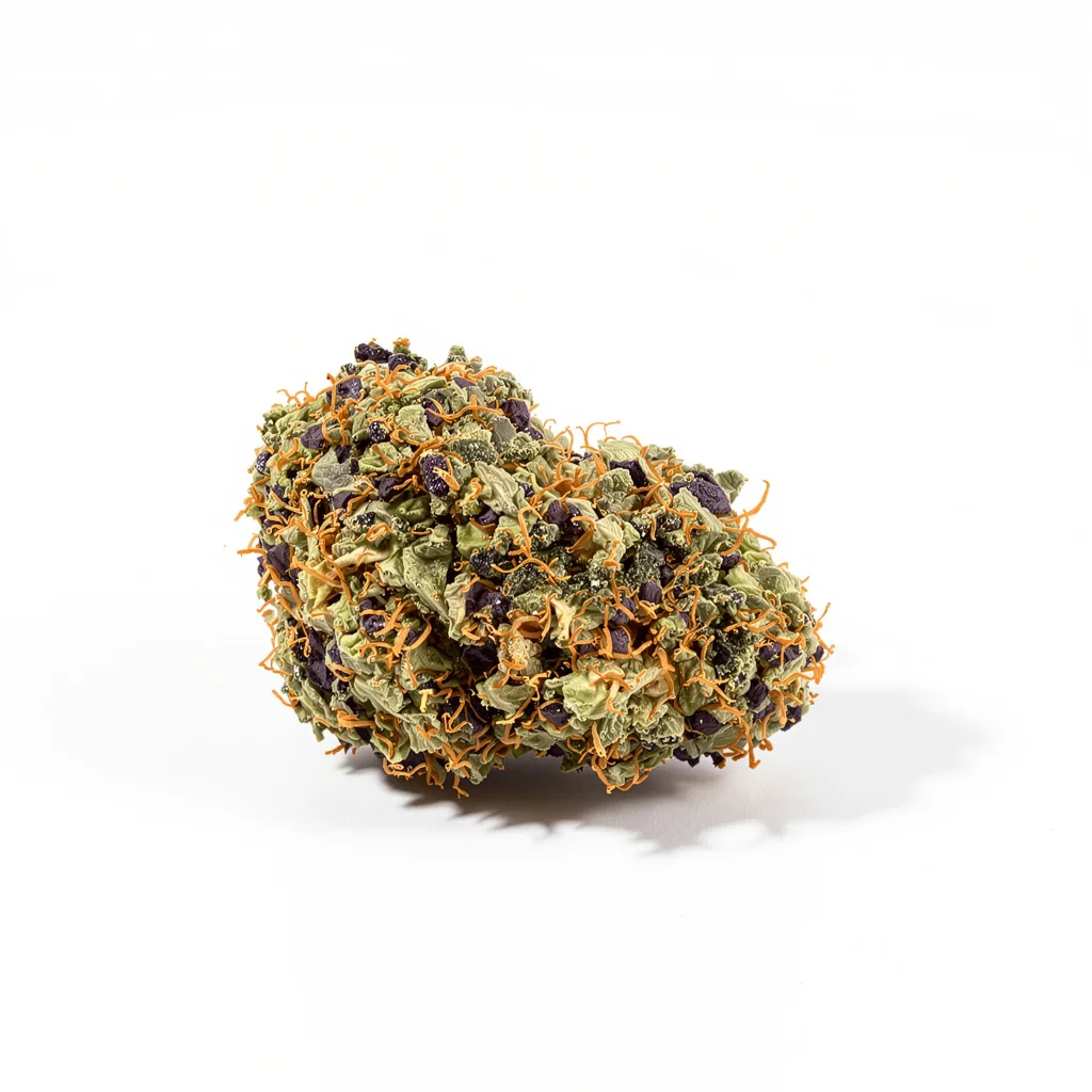 Dosi Punch cannabis plant in flowering stage — 152-244 cm feminised