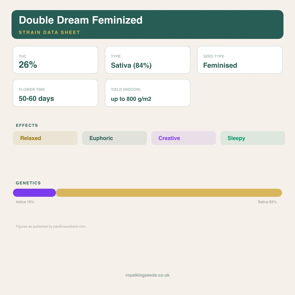 Double Dream 16% indica / 84% sativa flower with visible trichomes