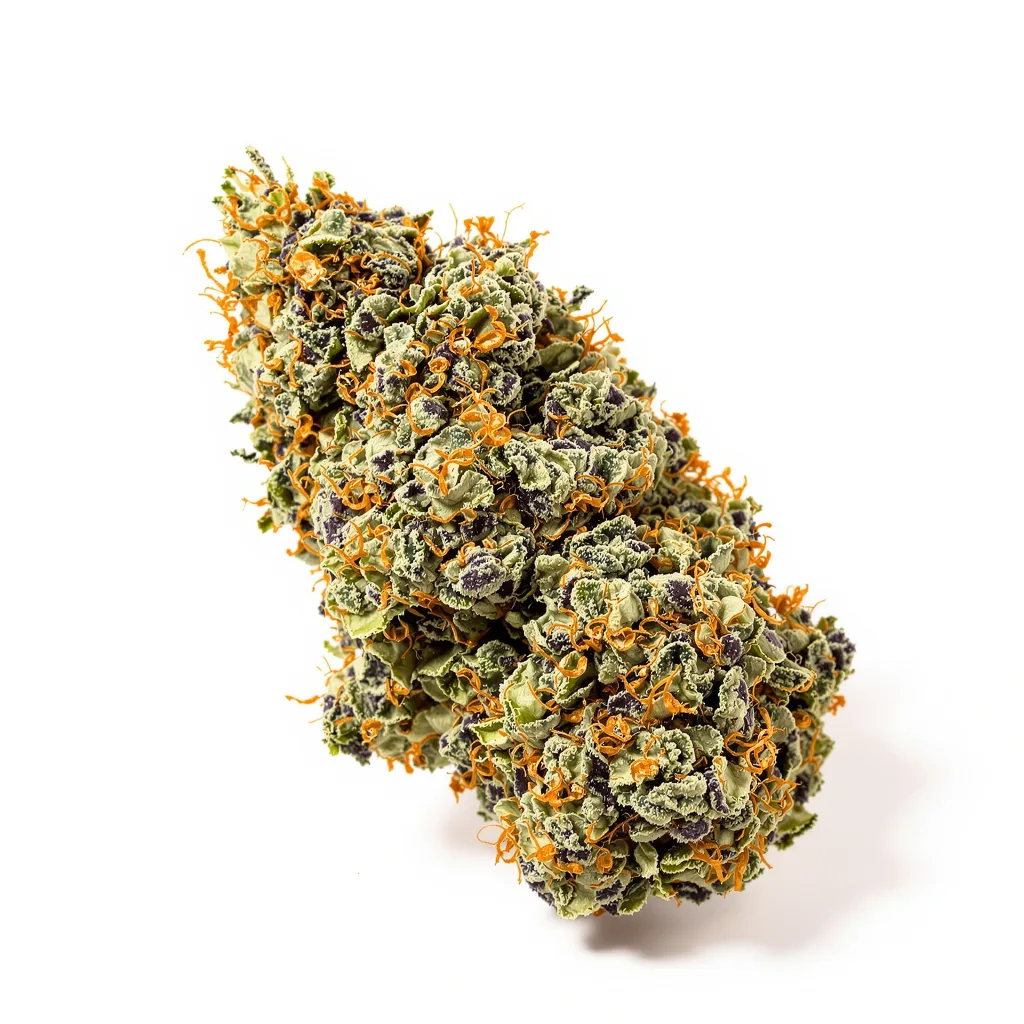Dr. Funk cannabis plant in flowering stage — 90-130 cm feminised
