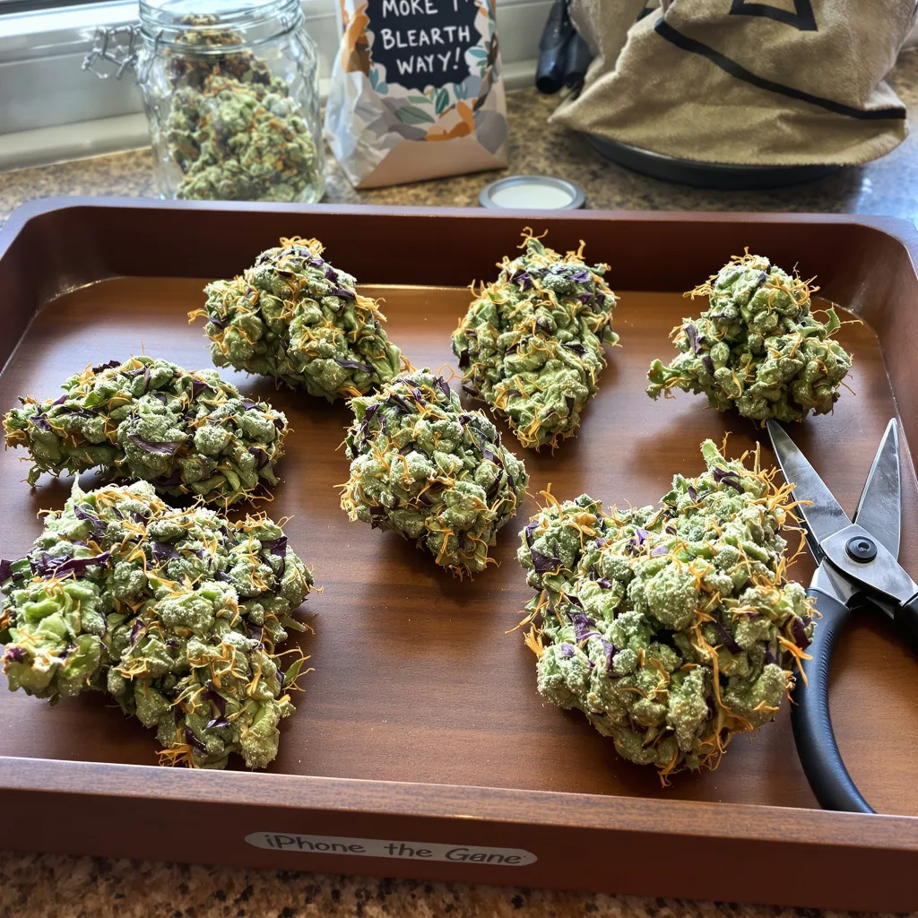 Dr. Who 50% indica / 40% sativa flower with visible trichomes