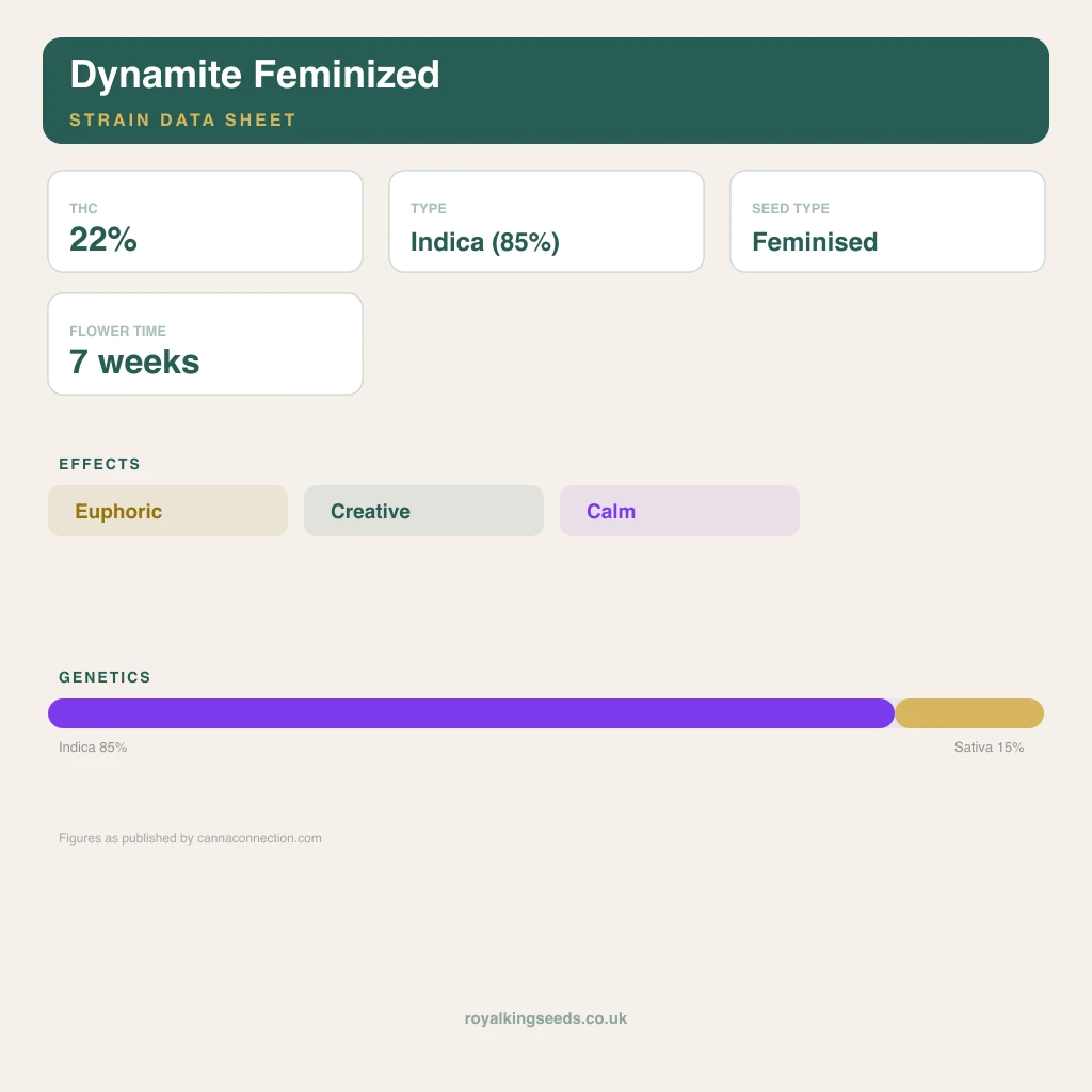 Dynamite 85% indica / 15% sativa flower with visible trichomes