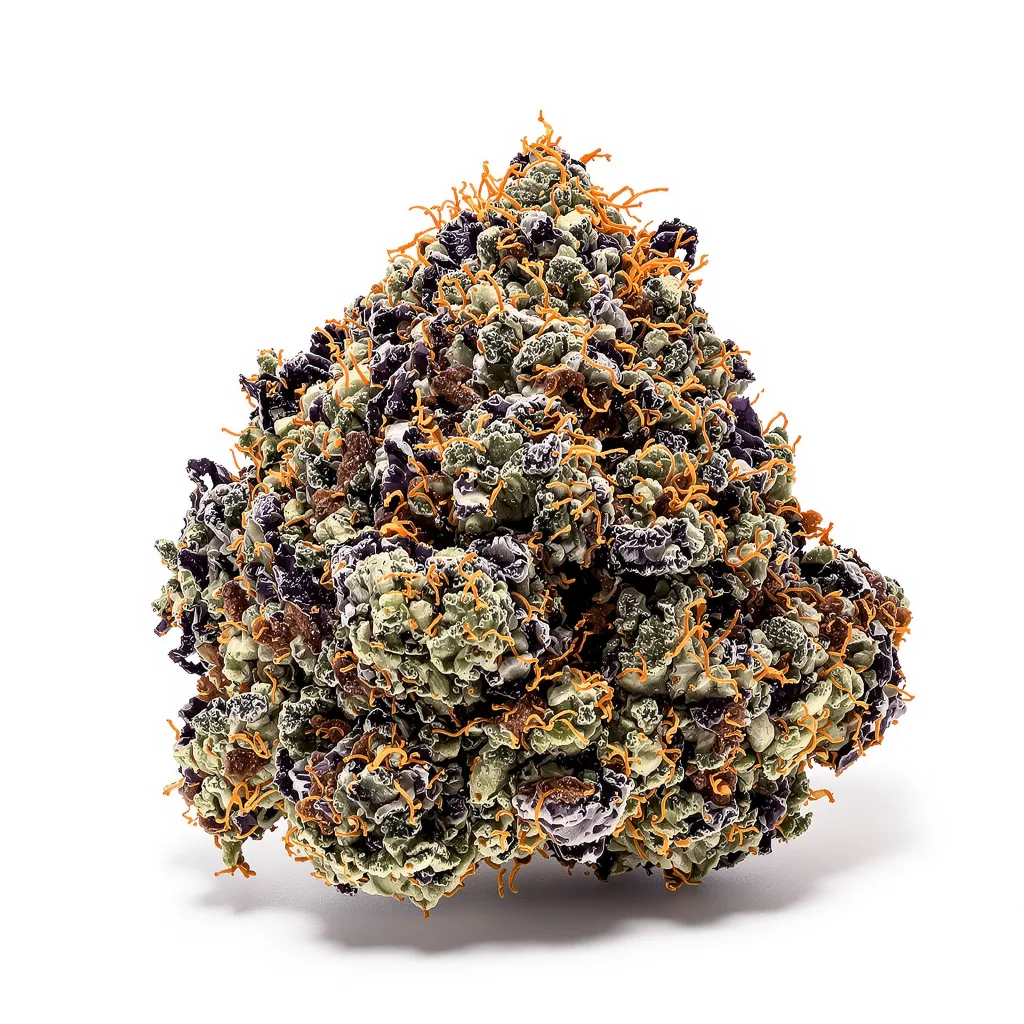 Dynamite cannabis plant in flowering stage — 90-130 cm feminised
