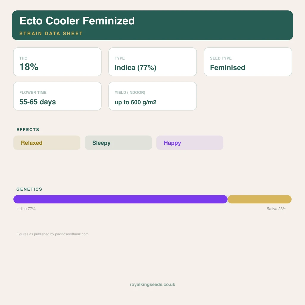 Ecto Cooler 77% indica / 23% sativa flower with visible trichomes